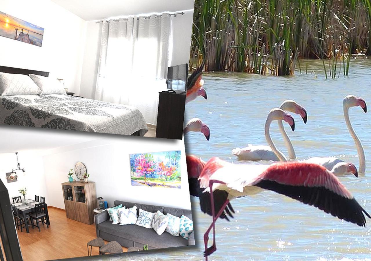 Apartament Duplex Double Terrasse Et Balcon Au Coeur Du Delta De L'ebre Deltebre